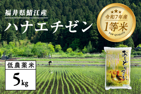 【令和7年産】福井県産 おしどり米 ハナエチゼン 5kg