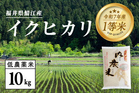 【令和7年産】福井県産 内農米 イクヒカリ 10kg