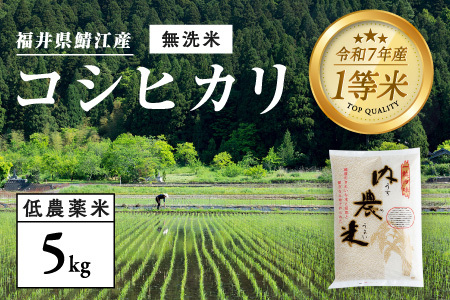 【令和7年産】福井県産 内農米 コシヒカリ 無洗米 5kg