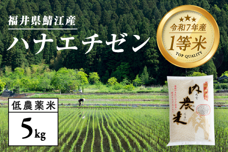 【令和7年産】福井県産 内農米 ハナエチゼン 5kg 