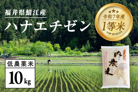 【令和7年産】福井県産 内農米 ハナエチゼン 10kg
