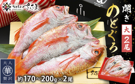 のどぐろ 開き 大サイズ × 2尾（170～200g / 尾）【干物 ひもの ノドグロ アカムツ 冷凍 無添加 化粧箱入】 [e04-b030]