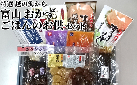 惣菜 特選 越の海から セット 富山 おかず ごはんのお供 たら 鮭 にしん ぶり ブリ 鰤 昆布 ほたるいか ホタルイカ 白エビ 白えび 白海老 