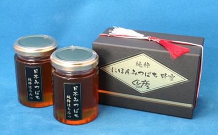 日本みつばちの純粋蜂蜜 大2個セット 加工食品 はちみつ ハチミツ 瓶 