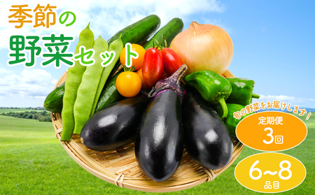定期便3回 お野菜 ｾｯﾄ 野菜 やさい