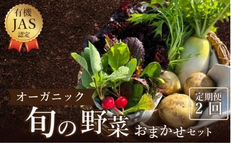 定期便 2回 オーガニックおまかせ野菜セット 野菜 定期便