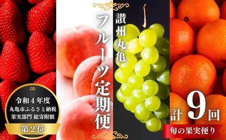 讃州丸亀 フルーツ定期便 9回 旬のフルーツ 果物定期便 キウイ いちご 桃 シャインマスカット ピオーネ みかん びわ 八朔 柑橘