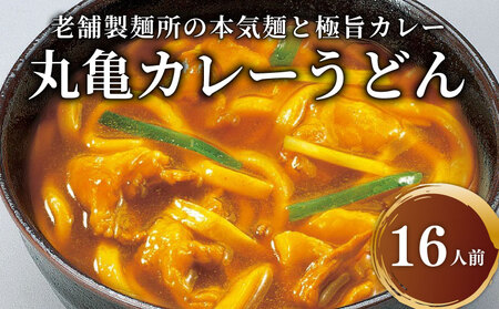 さぬきうどん カレーうどん 16人前 スープ付