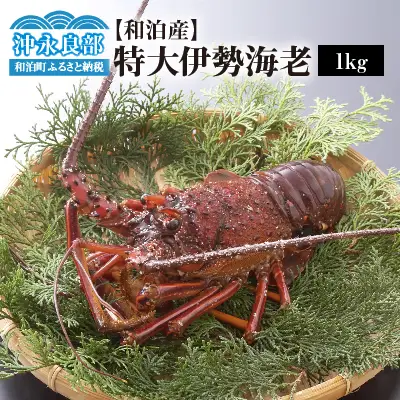 【漁師直送】活き〆 冷凍 特大伊勢海老 1kg（1～2尾） W005-003 海老 エビ 海鮮 魚介