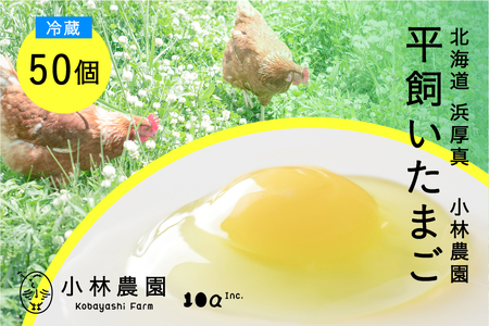平飼い有精卵 50個【冷蔵便】 たまご 玉子 生 冷蔵 [AXAN010]