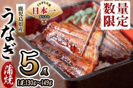 鹿児島県産 伊崎田のうなぎ蒲焼 ＜130g以上＞× 5尾(計650g以上) うなぎ 鰻 ウナギ 国産 鹿児島県産 九州産 蒲焼き 冷凍 うな重 ひつまぶし b8-033