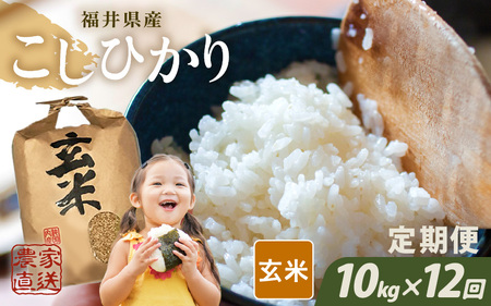【先行予約】【令和8年産・新米】【農家直送定期便 12ヶ月コース】【玄米】 本原農園のまごころコメた 福井県産 コシヒカリ 10kg × 12回 計120kg 【2026年10月上旬以降順次発送】 [O-8908_02]