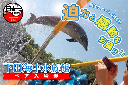 【下田海中水族館】ペア入場券 [水族館 イルカ]
