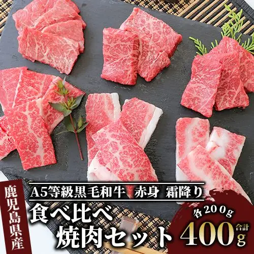 A5等級鹿児島県産黒毛和牛 食べ比べ焼肉セット カミチク IB112-008 牛肉 牛肉 