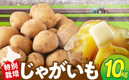 【R8年産先行受付 じゃがいも 10kg 特別栽培（男爵） | ジャガイモ 芋 男爵 馬鈴薯 大容量 新鮮 野菜 煮物 カレー シチュー ポテト 保存 特産 産地直送 北海道 津別町 送料無料