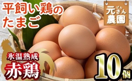 ＜氷温熟成＞平飼い赤鶏のたまご 黄嬉 (計10個) 元さん農園 卵 玉子 卵かけご飯 玉子焼き 平飼い 鶏 鶏卵 養鶏場直送 朝採れ 新鮮 大分県 佐伯市 【GE007】【 (株)海九】