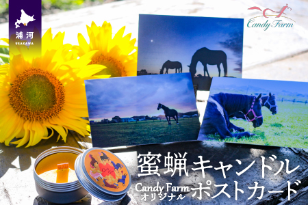 天然蜜蝋100%手作り「キャンドル」＆馬たちの「ポストカード」セット[39-1122]