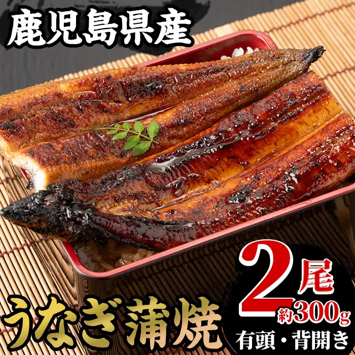 鹿児島県産 うなぎ蒲焼 2尾 うなぎ【00-025-03】