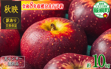 【 感謝りんご / 光センサー選別品 】 りんご 秋映 訳あり 10kg （ 24玉 〜 50玉 ） 交換保証 ながの農業協同組合 2026年10月上旬頃から2026年10月下旬頃まで順次発送予定 令和8年度収穫分 傷 不揃い リンゴ 林檎 果物 フルーツ 信州 長野  予約 長野県 飯綱町 [1203]