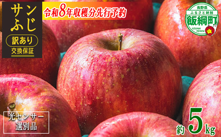 【 感謝りんご / 光センサー選別品 】 りんご サンふじ 訳あり 5kg （ 12玉 〜 25玉 ） 交換保証 ながの農業協同組合 2026年12月上旬頃から2027年1月下旬頃まで順次発送予定 令和8年度収穫分 傷 不揃い リンゴ 林檎 果物 フルーツ 信州 長野 12000円 予約 長野県 飯綱町 [1211]