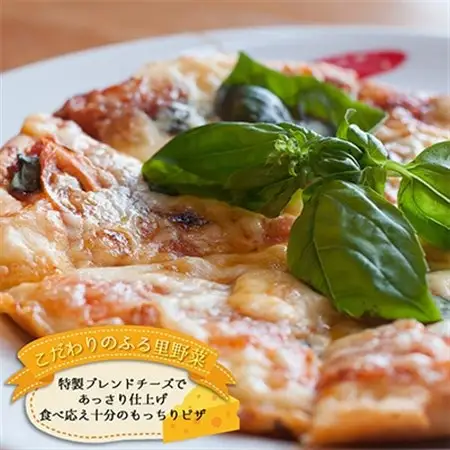 信州のふるさと野菜たっぷりとろける本格手作りチーズピザ大人気老舗レストランの3種食べ比べセット_惣菜・加工品 ピザ  _【配送不可地域：離島】【1324898】
