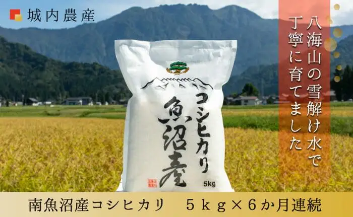 【令和７年 産】【お米定期便/全６回】南魚沼産コシヒカリ　白米５ｋｇ＜５割減農薬栽培米＞ 城内農産【定期便 銘柄米 ブランド米 精米 こしひかり コシヒカリ 魚沼産 新潟米 産地直送 お米 米 こめ コメ ご飯 御飯 ごはん】