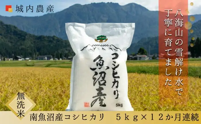 【令和７年産】【お米定期便/全１２回】南魚沼産コシヒカリ　無洗米５ｋｇ＜５割減農薬栽培米＞城内農産【定期便 銘柄米 ブランド米 無洗米 こしひかり コシヒカリ 魚沼産 新潟米 産地直送 お米 米 こめ コメ ご飯 御飯 ごはん】