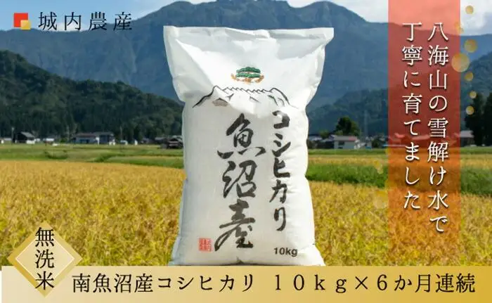 【令和７年産】【お米定期便/全６回】南魚沼産コシヒカリ　無洗米１０ｋｇ＜５割減農薬栽培米＞城内農産【定期便 銘柄米 ブランド米 無洗米 こしひかり コシヒカリ 魚沼産 新潟米 産地直送 お米 米 こめ コメ ご飯 御飯 ごはん】