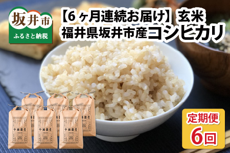 【先行予約】【令和8年産・新米】【6ヶ月定期便】 コシヒカリ5kg×6回　合計30kg（玄米）【2026年10月より順次発送予定】 [G-11302_02]