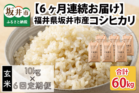 【先行予約】【令和8年産・新米】【6ヶ月定期便】 コシヒカリ10kg×6回　合計60kg（玄米）【2026年10月より順次発送予定】 [L-11304_02]