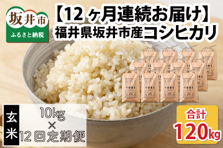 【先行予約】【令和8年産・新米】【12ヶ月定期便】 コシヒカリ10kg×12回 合計120kg（玄米）【2026年10月より順次発送予定】 [O-11302_02]