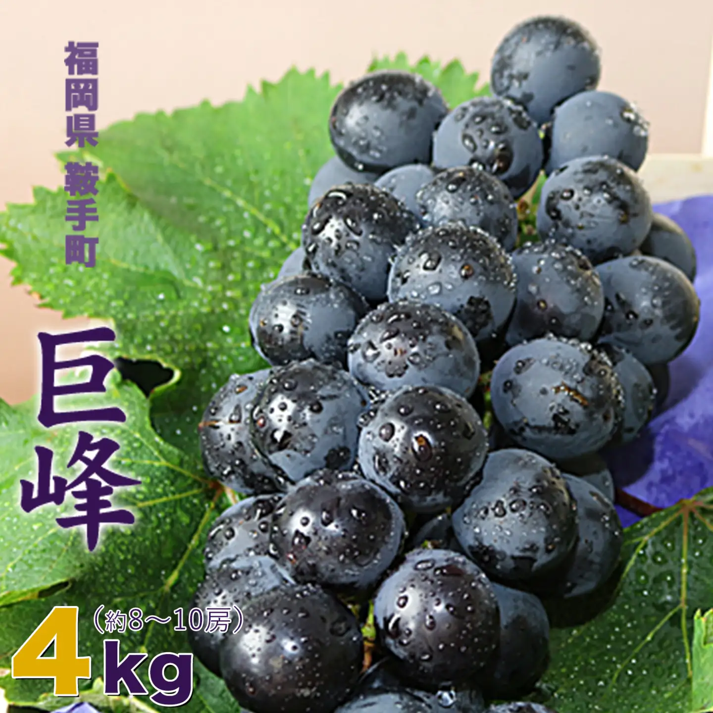 ＼農家直送！濃厚果汁／数量限定 巨峰 4kg (約8～10房) 予約受付《8月中旬-9月下旬頃出荷》福岡県随一の巨峰産地から農家直送でお届けします！