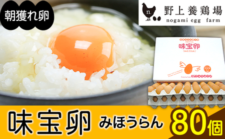 朝獲れ卵 味宝卵 (80個) 卵 Lサイズ 鶏卵《90日以内に出荷予定(土日祝除く)》野上養鶏場