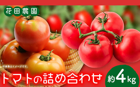 トマト とまと 2種の詰め合わせ 約4kg 花田農園