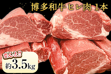ヒレ肉 まるごと1本 約3.5kg 冷蔵便 株式会社エム・ケイ食品《60日以内に出荷予定(土日祝除く)》