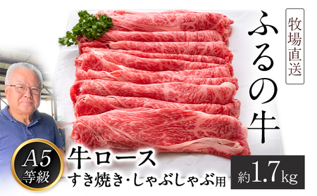  ふるの牛（黒毛和牛）ロースすき焼き・しゃぶしゃぶ用 1.7kg A5 ミシュラン掲載 《30日以内に出荷予定(土日祝除く)》