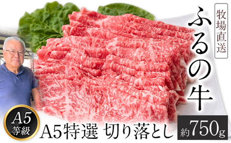 ふるの牛（黒毛和牛）Ａ５特選 切り落とし 750g 送料無料 A5 ミシュラン掲載《30日以内に出荷予定(土日祝除く)》