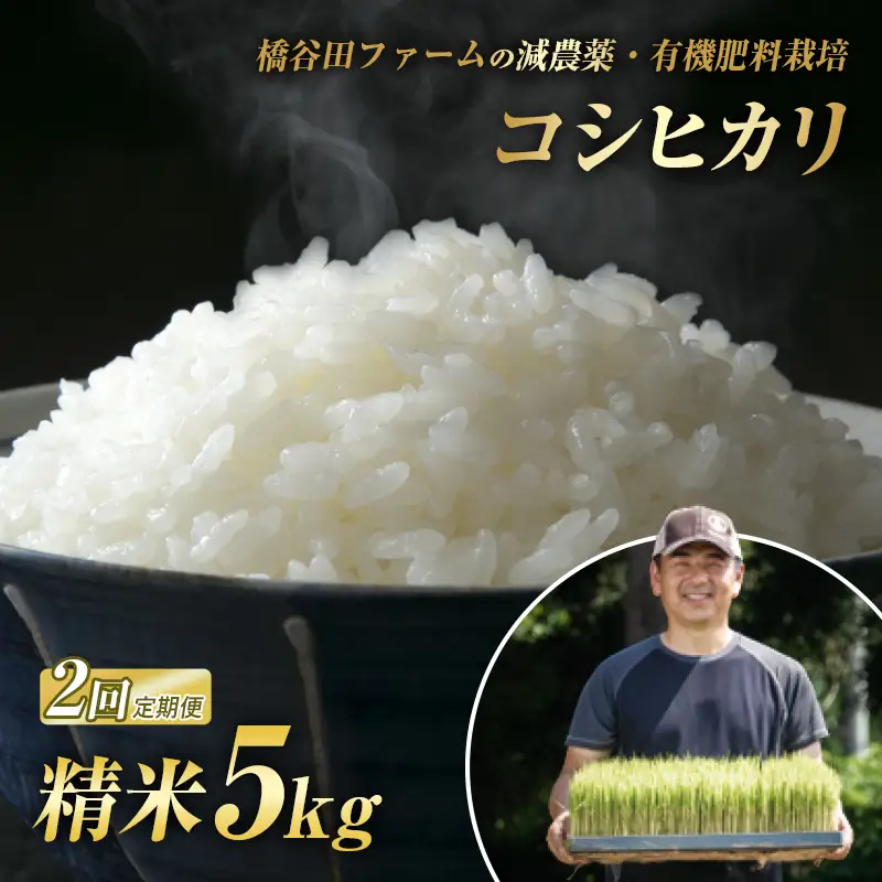 《定期便2ヶ月》減農薬・有機肥料栽培 西会津産米コシヒカリ 精米 5kg 米 お米 おこめ ご飯 ごはん 福島県 西会津町 F4D-2472