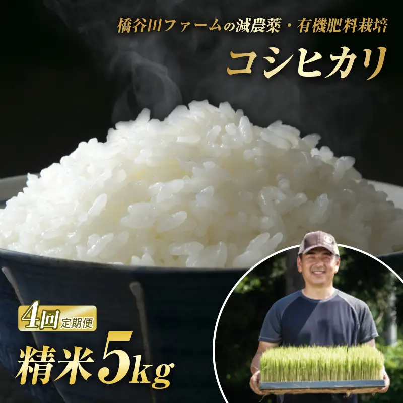 《定期便4ヶ月》 減農薬・有機肥料栽培 西会津産米コシヒカリ 精米 5kg 米 お米 おこめ ご飯 ごはん 福島県 西会津町 F4D-2474