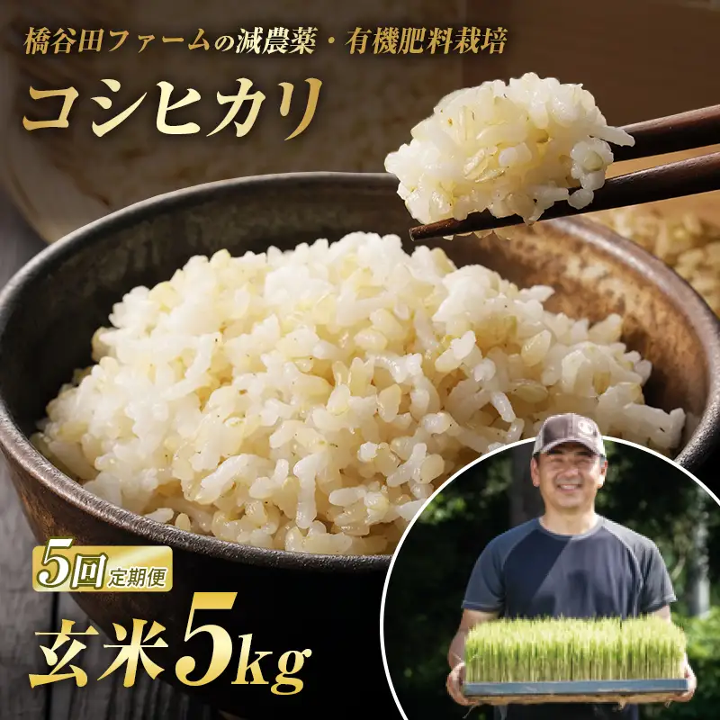 《定期便5ヶ月》 減農薬・有機肥料栽培 西会津産米コシヒカリ 玄米 5kg 米 お米 おこめ ご飯 ごはん 福島県 西会津町 F4D-2491