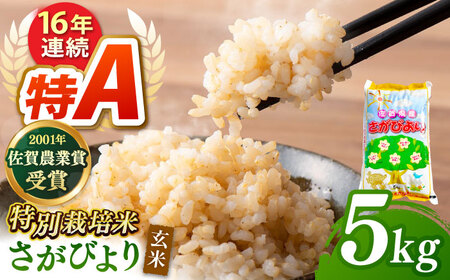 【特別栽培米】令和7年産 さがびより玄米5kg 【ももさき農産】 [HCG004] 