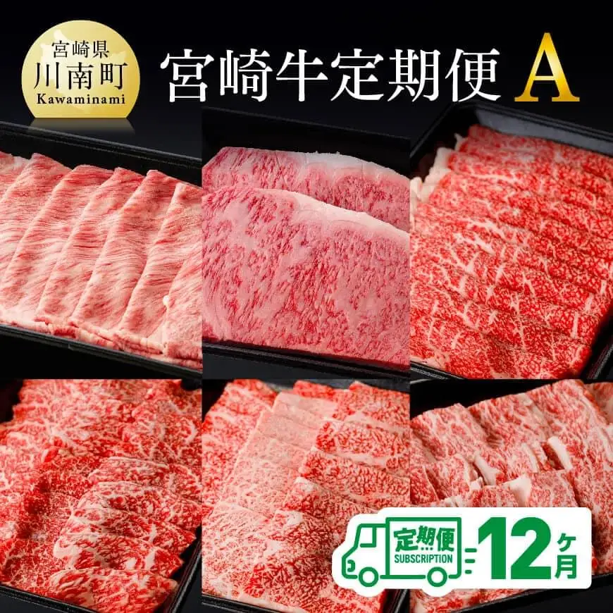牛肉 【定期便】宮崎牛12ヶ月定期便A 牛肉