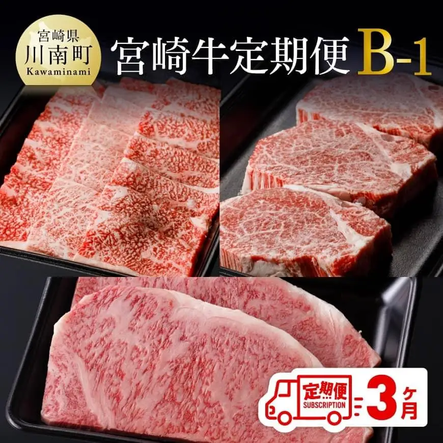 【定期便】宮崎牛３ヶ月定期便Ｂ‐１ 肉 国産 九州産 宮崎県産 牛肉