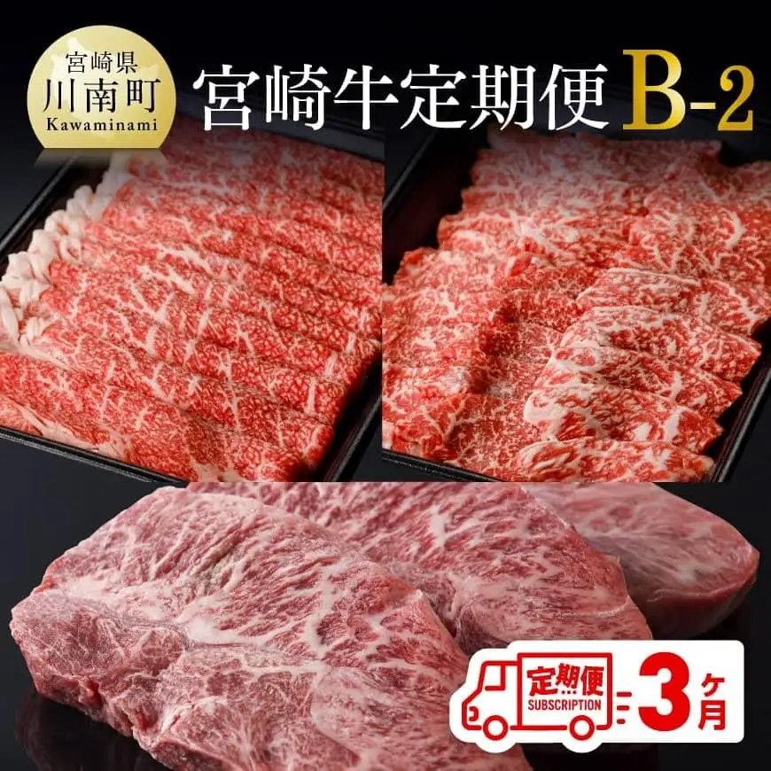 【定期便】宮崎牛３ヶ月定期便Ｂ‐２【  国産 九州産 肉 牛 宮崎県産 牛肉 黒毛和牛 ミヤチク 全3回 牛肉】