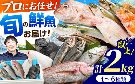 【加福鮮魚】「若狭小浜湾産地直送」旬の天然鮮魚お任せセット！ 計2kg以上 地魚 下処理済み 刺身 煮魚 小浜市 / 加福鮮魚【配送不可地域：北海道、北東北（秋田、青森、岩手）、九州、沖縄、離島】  [BFBC007] 