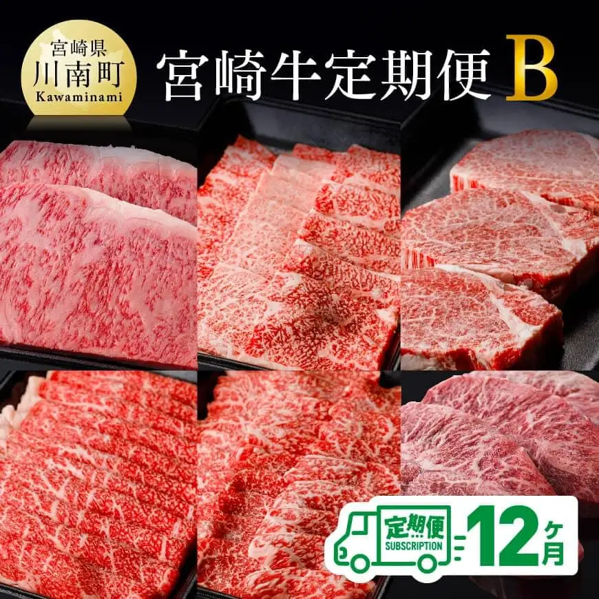 牛肉 【定期便】宮崎牛12ヶ月定期Ｂ ミヤチク 牛肉