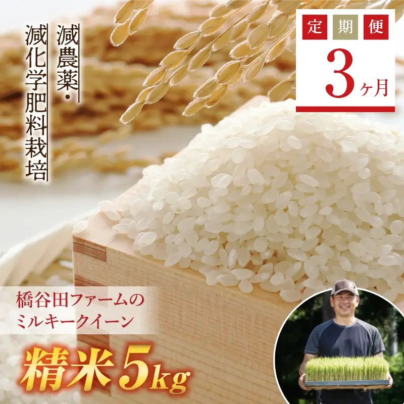 《定期便3ヶ月》【先行予約】令和8年産米 減農薬・減化学肥料栽培 西会津産米 ミルキークイーン 精米 5kg 米 お米 おこめ ご飯 ごはん 福島県 西会津町 F4D-2246