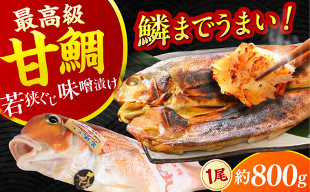 【加福鮮魚】若狭ぐじ 味噌漬け開き 1尾 800g 甘鯛 タイ アカアマダイ 高級  小浜市 / 加福鮮魚 【配送不可地域：北海道・沖縄・離島】 [BFBC002] 
