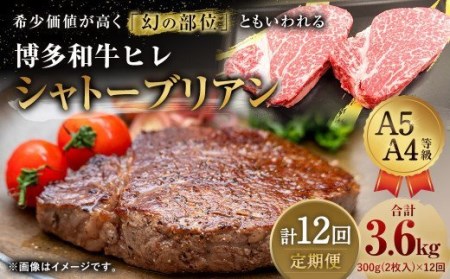 【定期便12回】 博多和牛 ヒレ シャトーブリアン 300g (2枚入り) 黒毛和牛