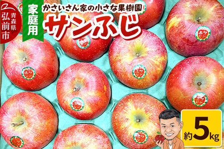 【26年11月下旬～発送】りんご サンふじ 約5kg【家庭用】林檎 リンゴ 果物 くだもの フルーツ 青森